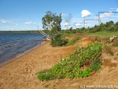 Мусора больше нет. Природе возвращена былая красота (нажмите, чтобы открыть изображение в полный размер)