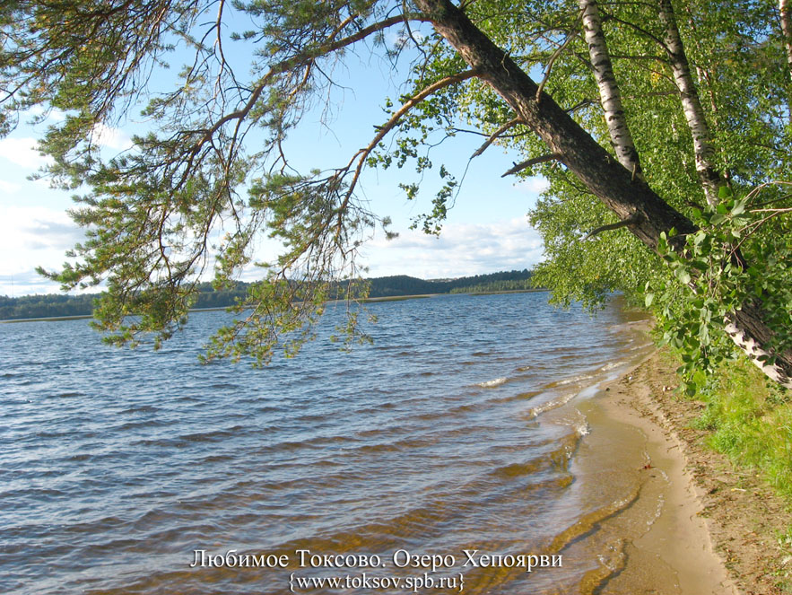 ������� �������. ����� ��������